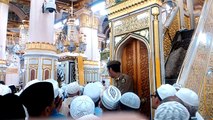 Keindahan Taman Surga di Masjid Nabawi