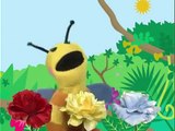 Baby Einstein Puppet Show Anthology Vol 1 Video