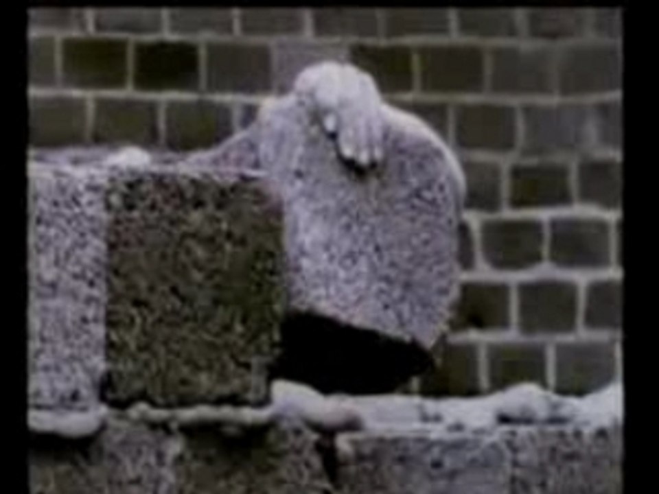 Paul van Dyk & Peter Heppner - Wir sind wir