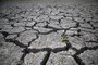 La sécheresse en France en cinq chiffres