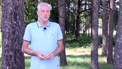 Zangles van Kees Taal