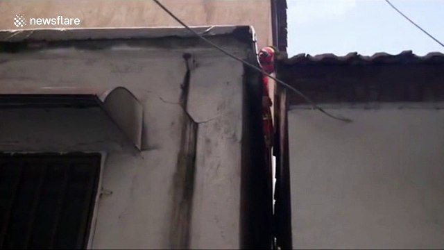 Firefighters rescue dog trapped between two walls