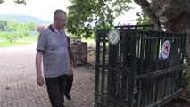 Suriye'den Gelen Yaban Hayvanları Güvende