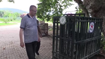 Suriye'den Gelen Yaban Hayvanları Güvende