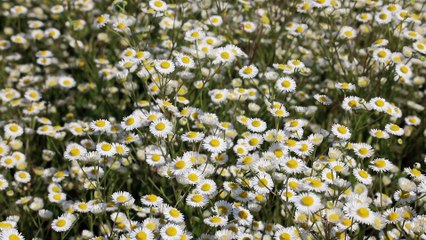 SKG 낙태가능한.병원 [ 임신.중절.낙태  ssuu22299@gmail.com ~메일로 문의하세요.]