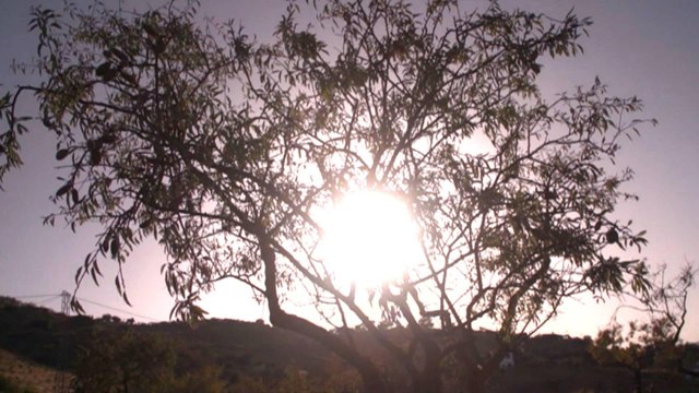 Spain suffers from record drought crisis