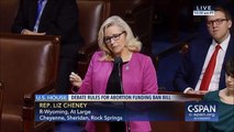 Rep. Lynn Cheney (R WY); Remarks on Abortion in DC