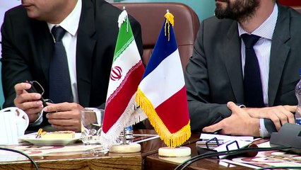 Renault signs 660 mln euro deal with Iran