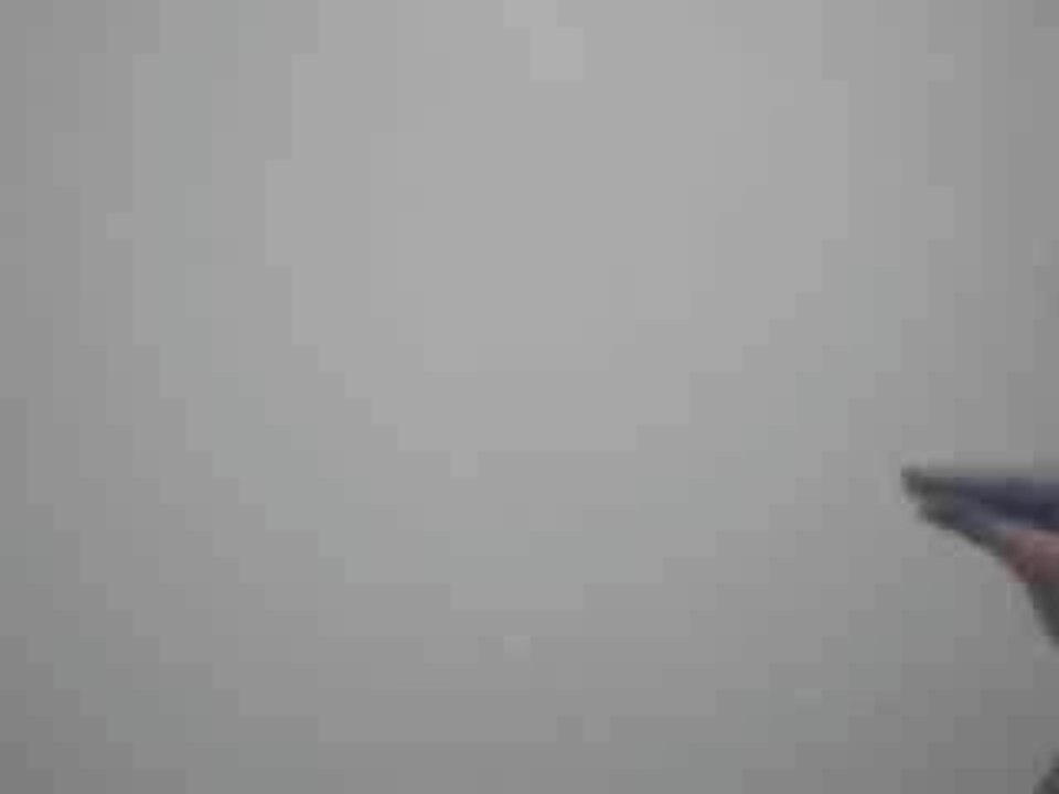 Emu Nils