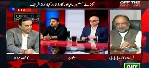 Nawaz Sharif's Grandson Ko Social Media Wing Ka Head Laga Diya