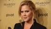 Amy Schumer to Make Broadway Debut in Steve Martin's Play 'Meteor Shower' | THR News