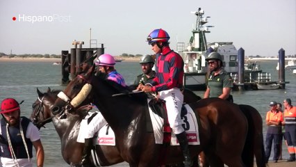 Download Video: Hipódromo en la playa: Las espectaculares carreras de Sanlucar