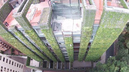 El jardín vertical más grande del mundo está en Bogotá