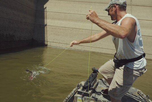 Best Summer Ever: Take the Family Bowfishing