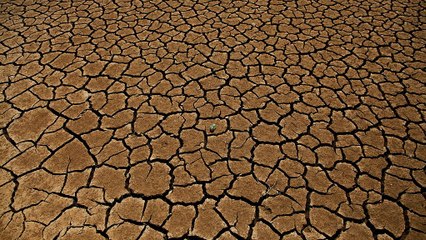 Avrupa'da bir yanda sıcaklar diğer yanda sel