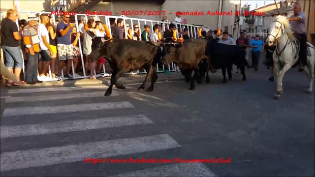 Milhaud-Bandido-30/07/2017-Aubanel-Briaux