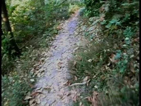 16/09/07 - Les Loges en Josas 06