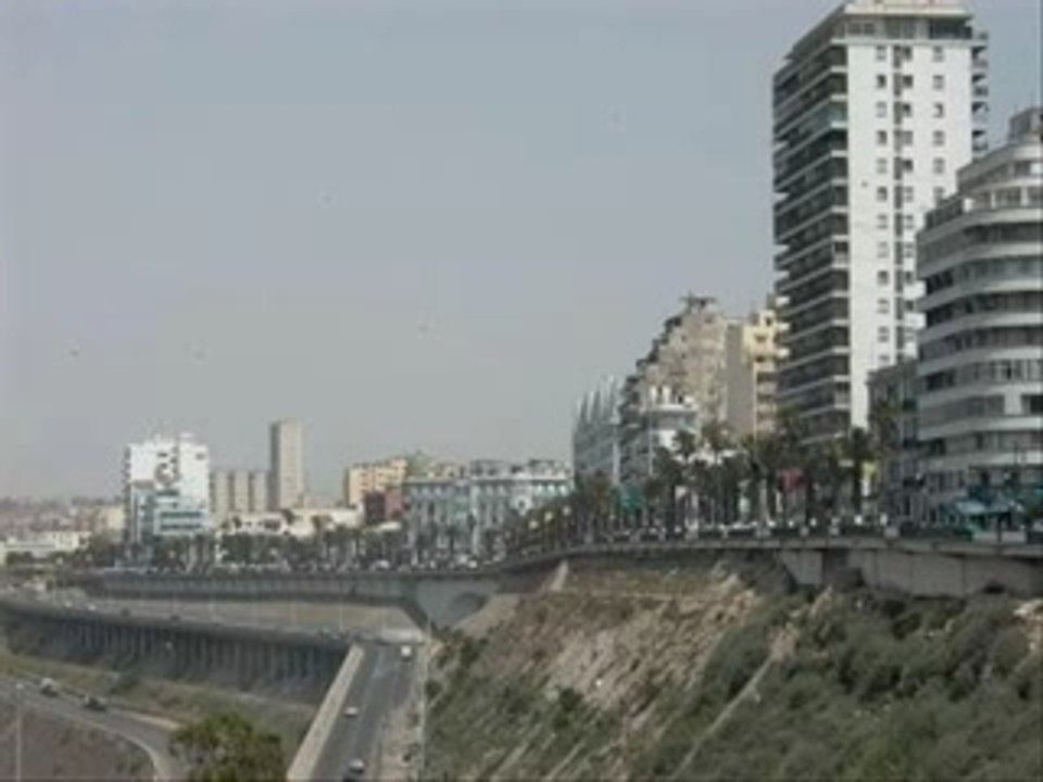 algerino