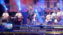 Menari di Atas Luka - Brodin - NEW PALLAPA - Trimulyo (Ngerang) (MAX-PRO SHOOTING)