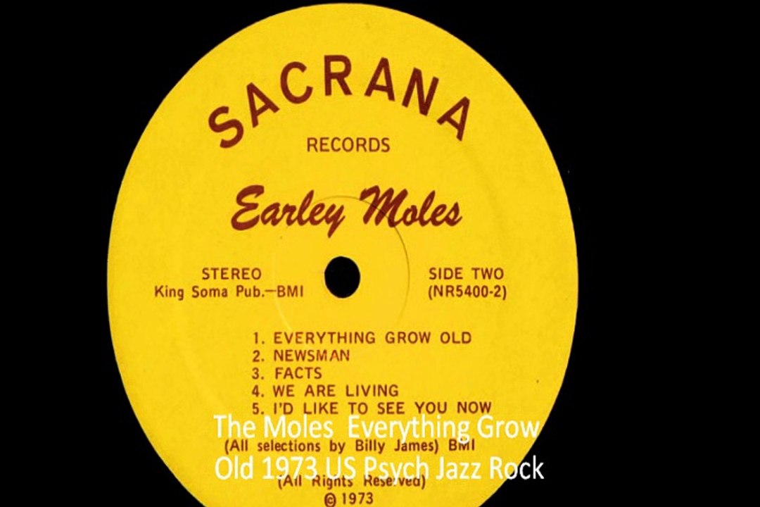 The Moles"Everything Grow Old"1973 US Psych Jazz Rock