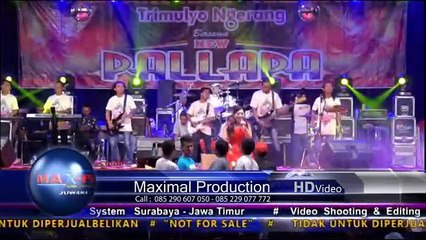 Satu Pondok Ada 2 Cinta - Ria Mustika - NEW PALLAPA - Trimulyo (MAX-PRO SHOOTING)