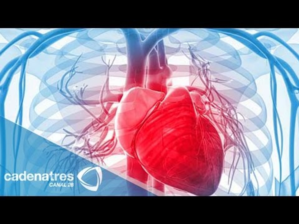 Cuida tu corazón y mejora tu vida