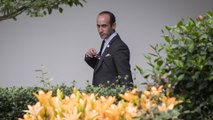4 reasons why Stephen Miller may be more 'cosmopolitan' than he thinks
