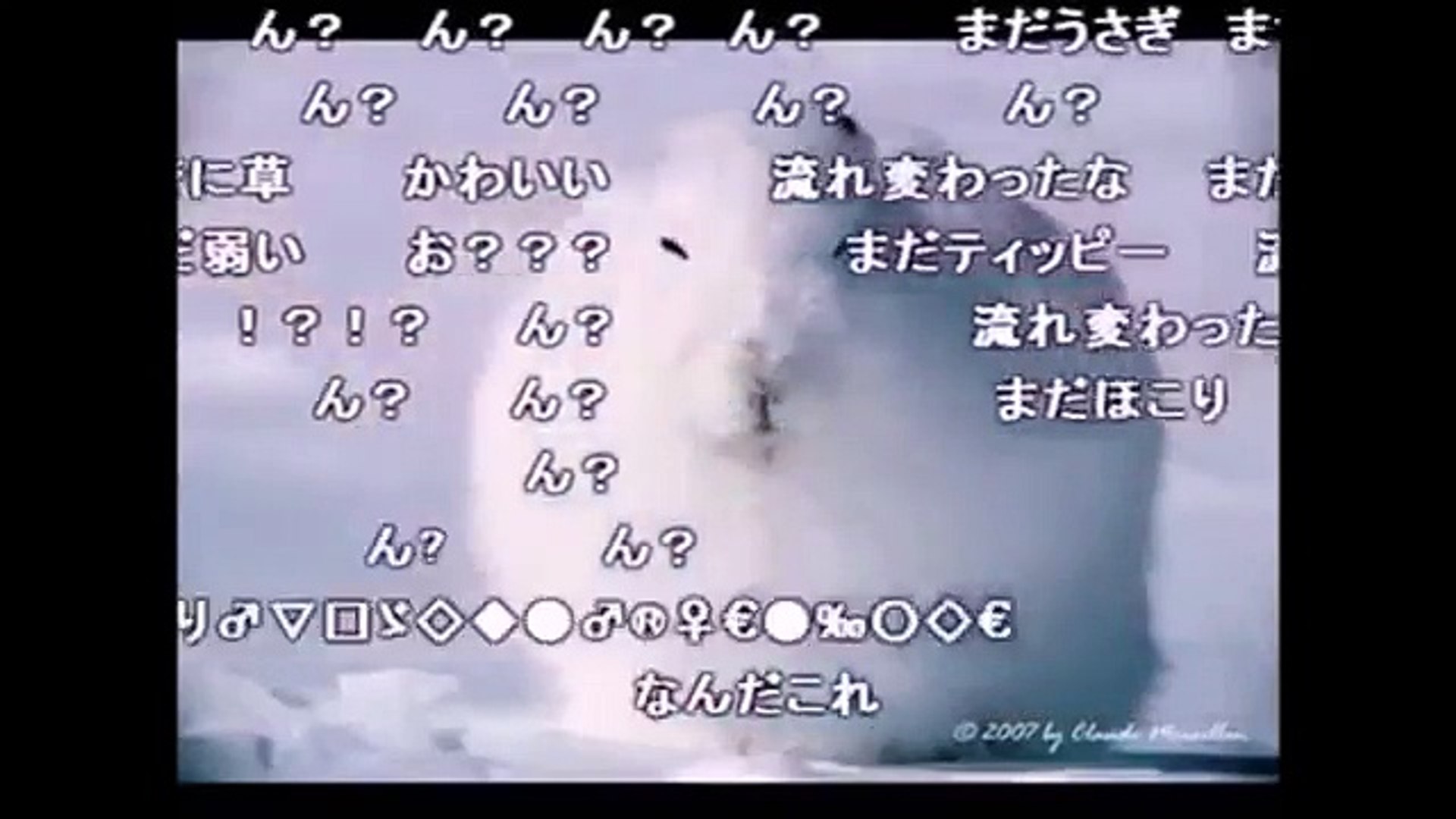 ホッキョクウサギが立ち上がった時のコレじゃない感ｗｗ Video Dailymotion