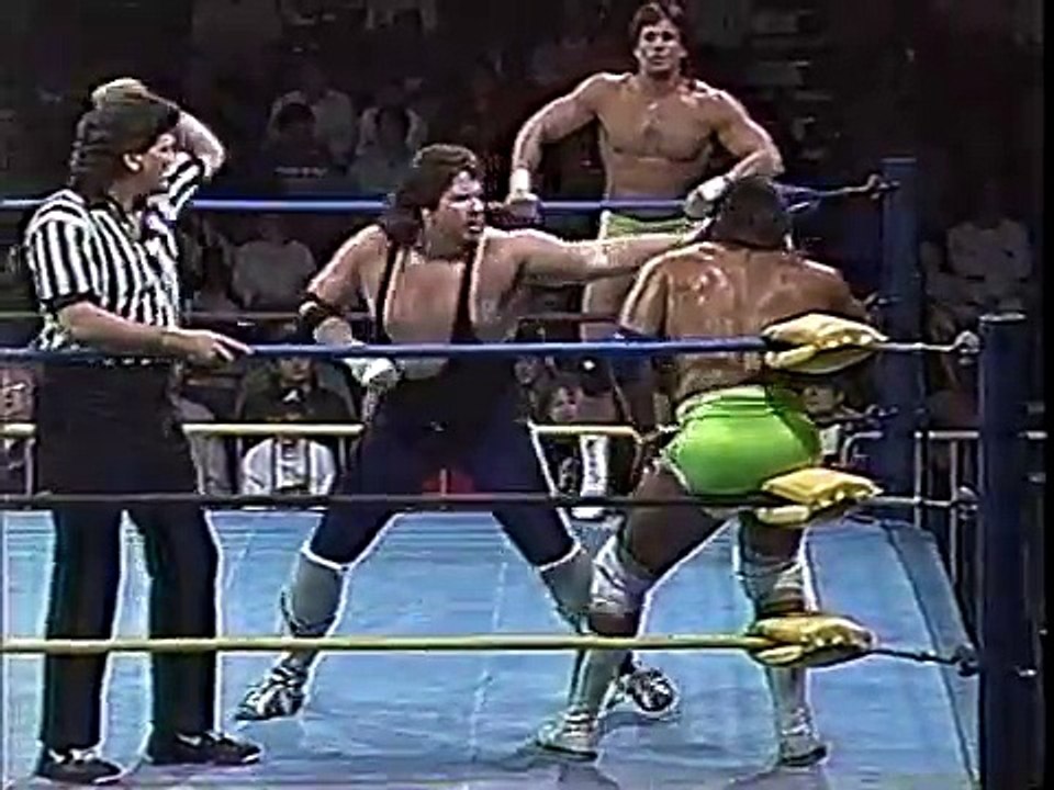 WRESTLING MUSCLE BEAR JOE CRUZ & TEX LAZENGER V TOM ZENK & JOHNNY GUNN