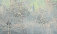 Petugas Sulit Padamkan Lahan yang Terbakar di Riau