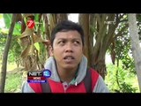 10 Ton Buah Jeruk Sekali Panen di Tuban, Jawa Timur - NET12