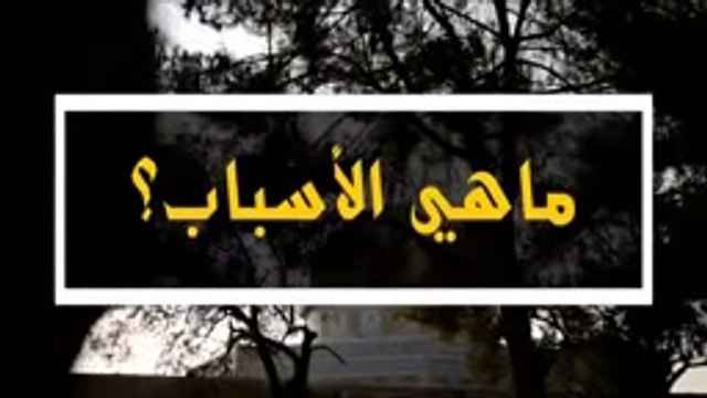 لماذا لاتهاجم الدولة الاسلامية اسرائيل والجيوش العربية من تحمي حدود اسرائيل وحزب الات اولهم