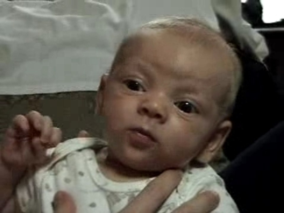 Noah's Faces WS Mpeg4