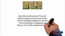 Looking For Best Kenya Wildlife Tours at Low Cost
