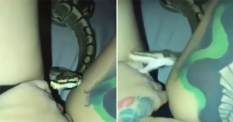 This Is Why Sexy Girls Should Stop Playing With Snakes