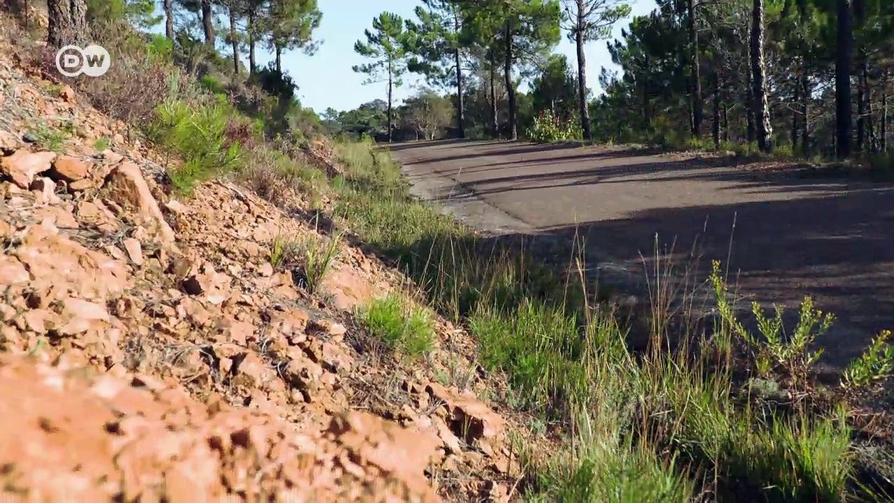 Wirtschaftswunder-Trendsetter: Hansa 1100 | DW Deutsch