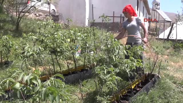 Muş 'Genç Çiftçi' Projesi Geçim Kaynağı Oldu