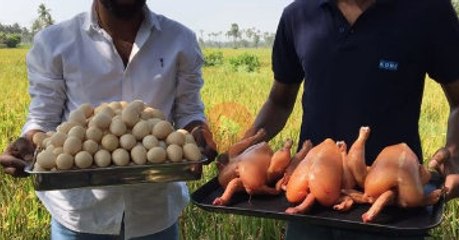 จะออกมาเป็นเมนูอะไร! เมื่อ ชาวอินเดีย นำไข่ไก่ 300 ฟอง มา Vs ไก่ 3 ตัว เดี๋ยวได้รู้