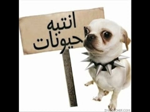 TAROUDANT ADOUAR MAROC MOROCCO