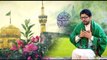 Shukria Mola Raza (as) | Mir Hasan Mir | New Manqabat 2017-18.