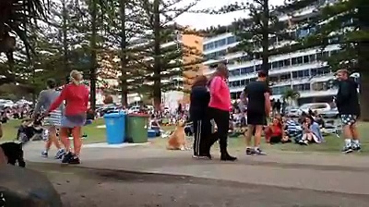 Quand ton chien ne veut pas rentrer du parc !