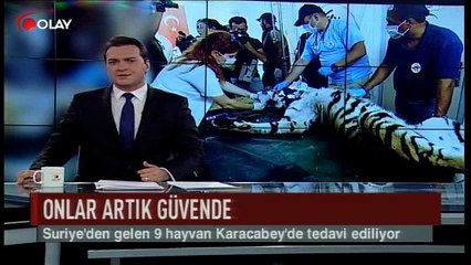 Onlar artık güvende (Haber 07 08 2017)