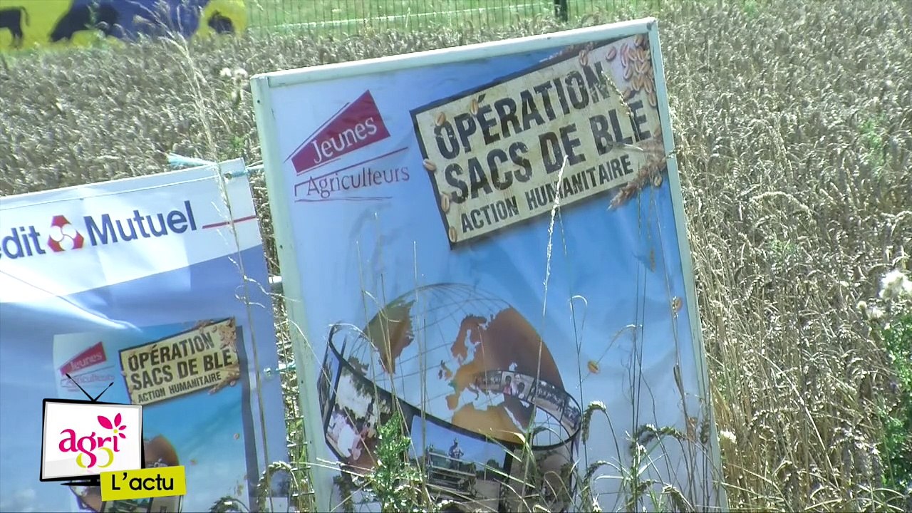 Sacs de blé : les JA mobilisés