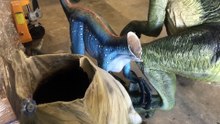 Trois dinosaures décapités dans un musée australien
