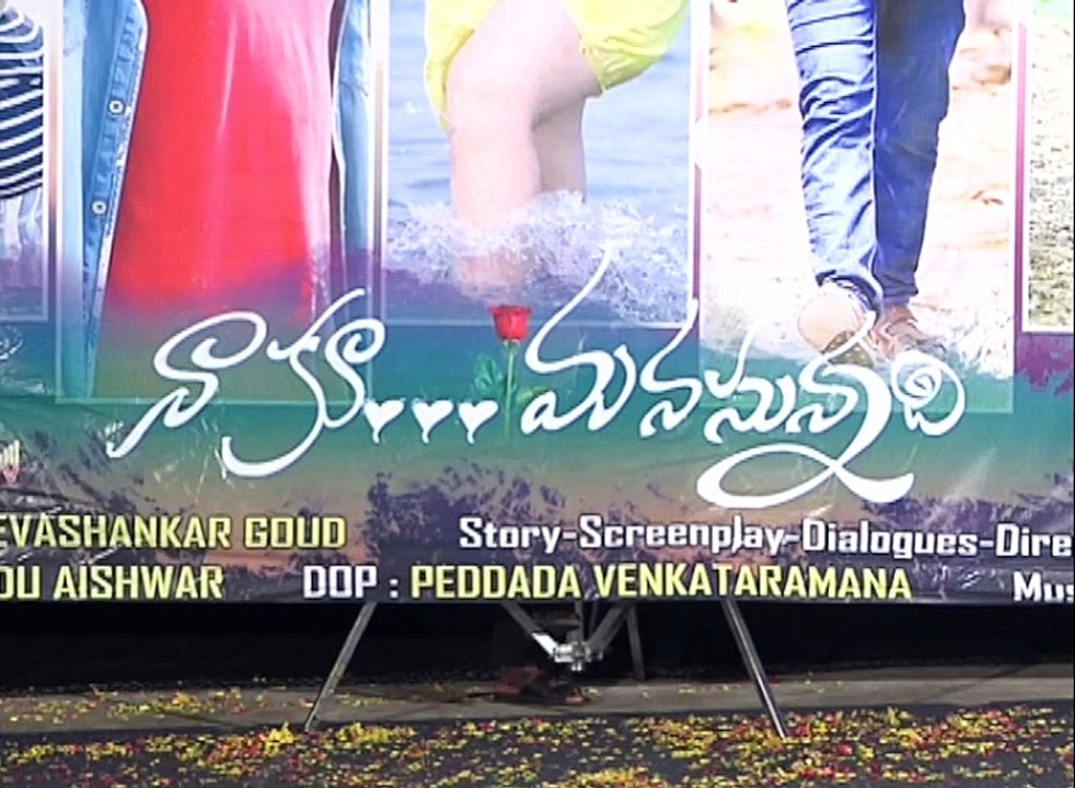Naku Manasunnadi Movie Audio Launch
