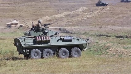 Canada opposition, rights groups call on government to halt arms sales to Saudi