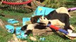 Panda Twins at Vienna Zoo Celebrate First Birthday