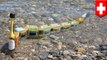 Robot ular air ini berenang menyaring polusi secara otomatis - TomoNews