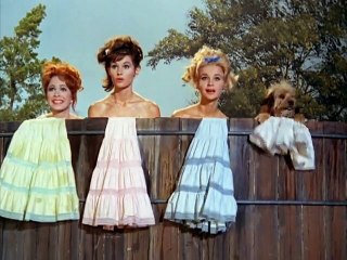Petticoat Junction S3 E22 - Jury at the Shady Rest