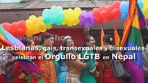 Lesbianas, gais, transexuales y bisexuales celebran el Orgulo LGTB en Nepal